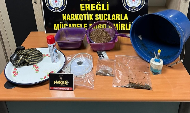 Zehir tacirleri tutuklandı