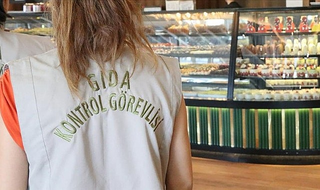 81 ilde gıda denetimi gerçekleştirildi
