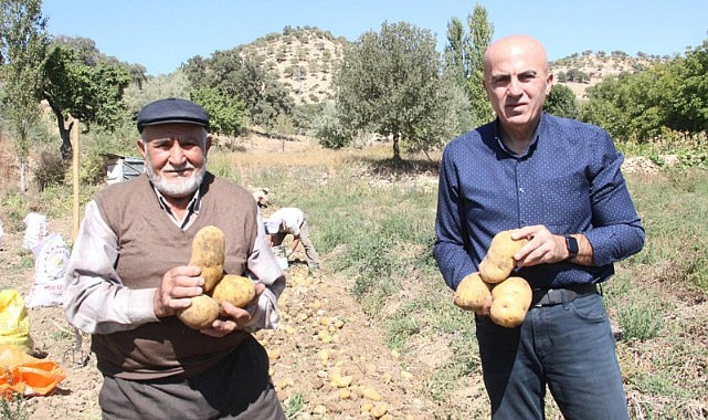 Başkan Bayram patates hasadına katıldı