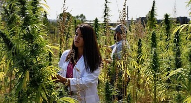 Doğa dostu "KENEVİR" kobay oldu