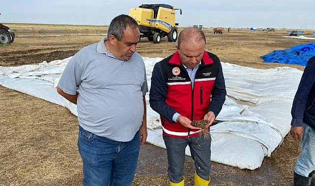 Dolu tarım arazileri ve mahsullere zarar verdi