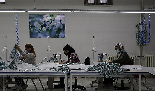 Firma sayıları artıyor