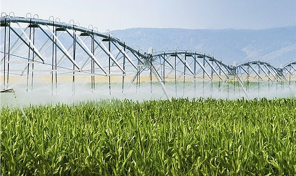 “İntihar etme düzeyindeydik”