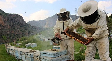 İşte Karaman’dan akan “Bal”