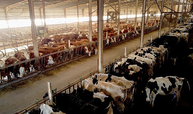 Karaman’ın ihtiyacını karşılıyorlar