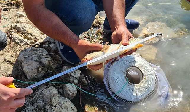 Kontroller devam ediyor!