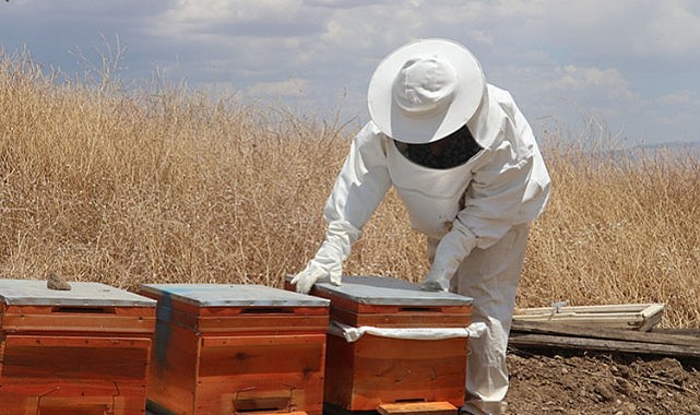 Kontroller devam ediyor