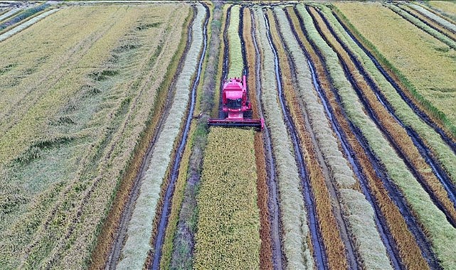 Ödemeler bugün hesaplara yatacak