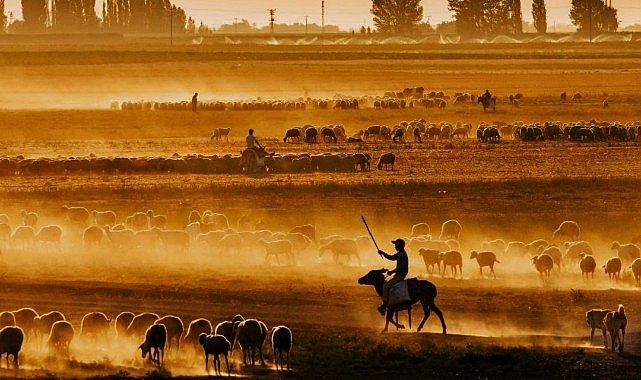 Şampiyonlar Larende Fotoğraf Derneğinden