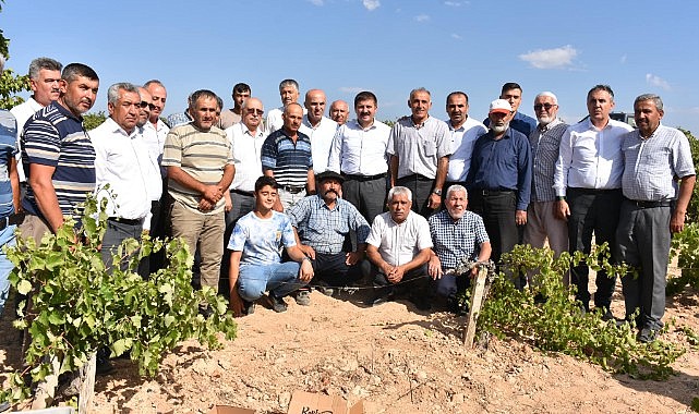 Vali Sarıibrahim ekşikara üzümünü inceledi