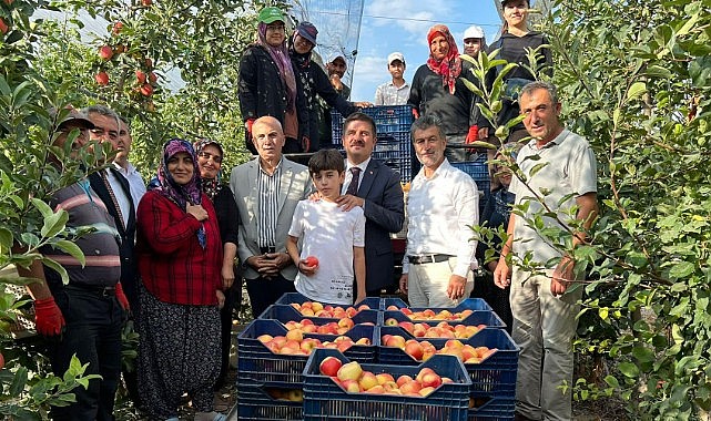 Vali Sarıibrahim elma hasadına katıldı