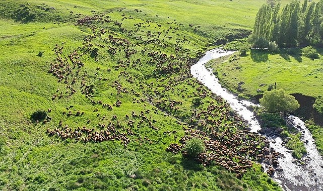 Yetiştiriciler destekten memnun
