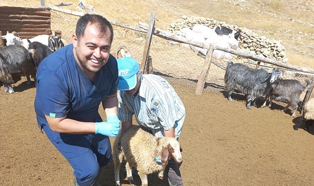 Aşılama ve küpeleme çalışmaları devam ediyor