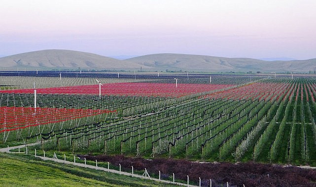 Avrupa’nın en büyüğü Akçaşehir’de