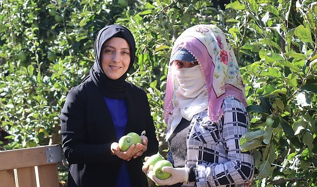 Elma üreticilerine &quot;Mavi Sertifika&quot;