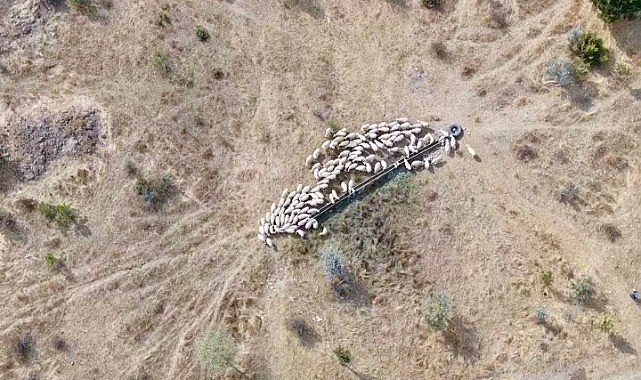 İmdadına jandarma yetişti