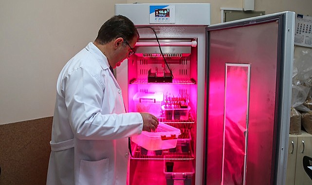 Karaman’da milli tohum atağı