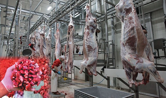 Karaman’ın mezbaha ayıbı!