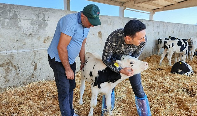 Kaymakam Kaya besi çiftliğini inceledi