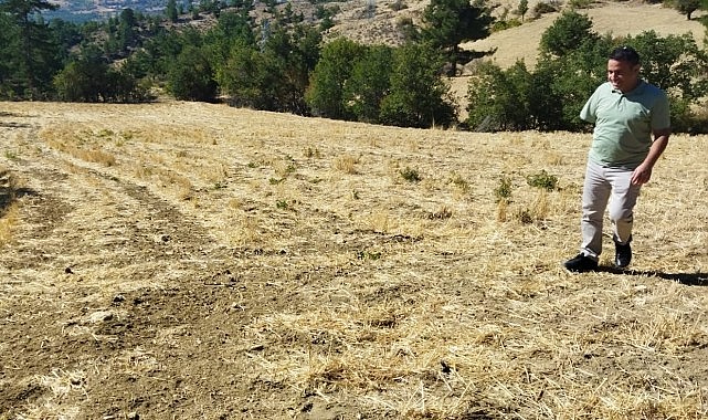 KOP ile cennete dönüşen bahçeler