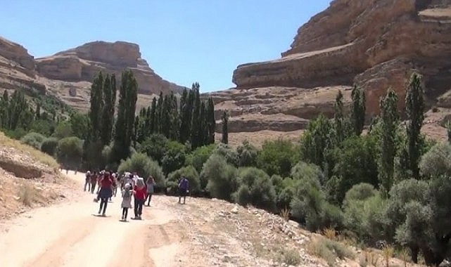 Köy yolunda hayatını kaybetti