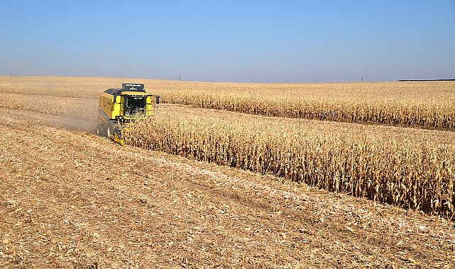 Mısır randevusu açılacak