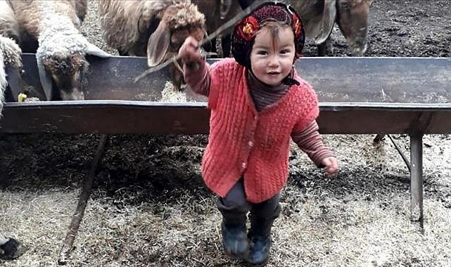 Sapık dede cinayetten beraat etti