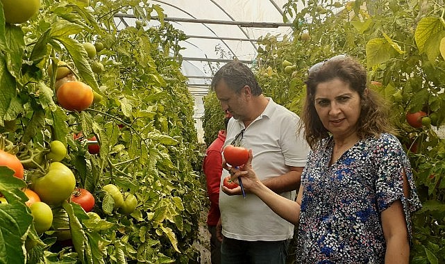 “Seramda Eğitimdeyim”