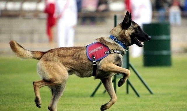 &quot;Trafik&quot; konusunda uyarıldılar