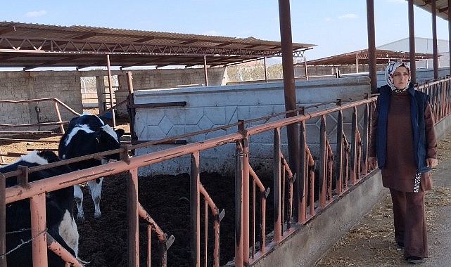 Türkiye&#039;de tek