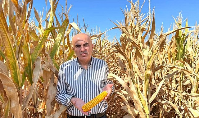 Üreticinin ahını almayın