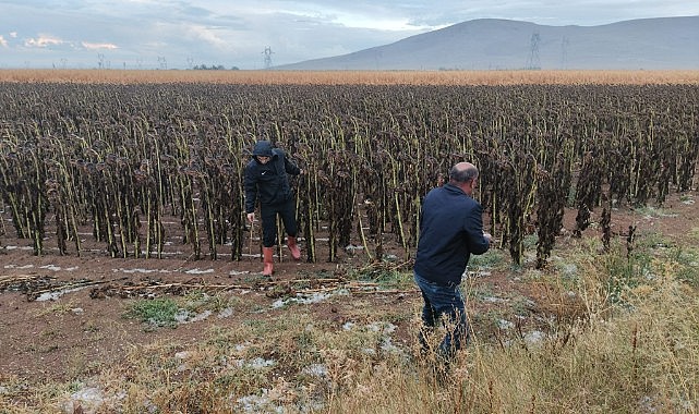 Zarar gören yerler incelendi
