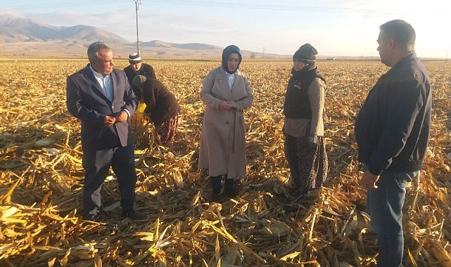 Fırtınadan zarar gören alanlar incelendi