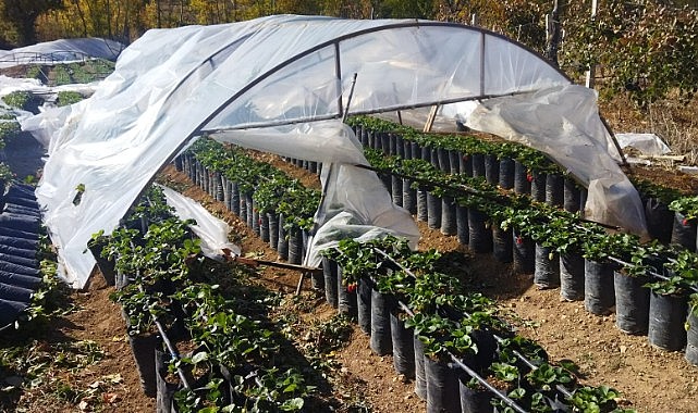 Fırtınanın bilançosu ağır 