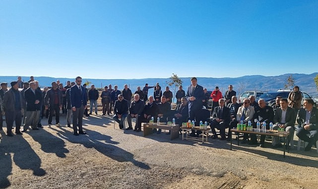 Hibeli fidanlar teşvik ediyor