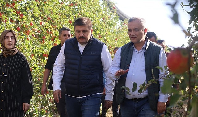 Karaman’da 2 milyon 850 bin ağaçlık işletme