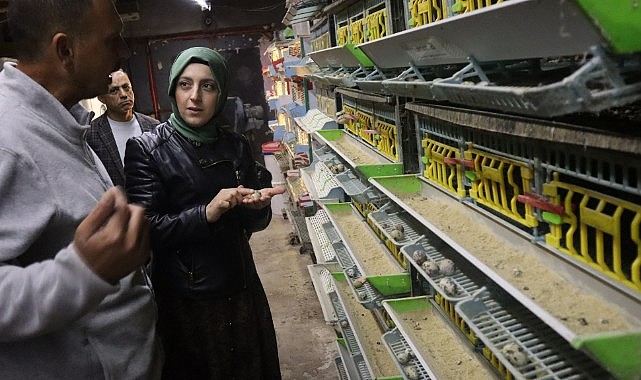 Karaman Irk Bıldırcın Merkezi 