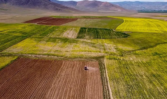 Milli Emlak’dan 5 bin liraya arsa