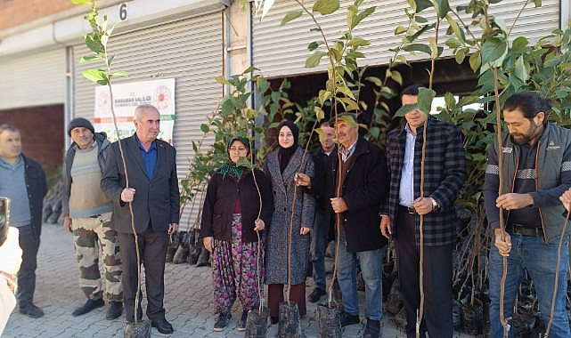 Sarıveliler&#039;de üreticinin yüzü gülüyor