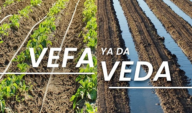 Suya vefa ya da veda