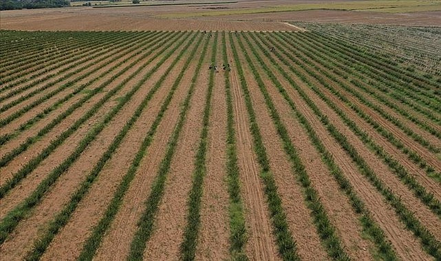 Tarımda ‘Nüfus Sayımı’