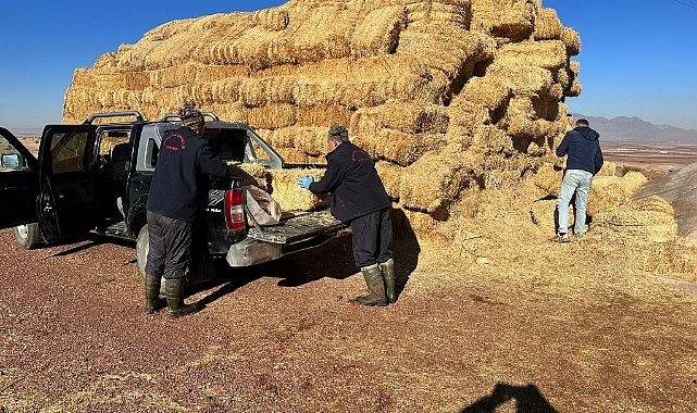 Yangının yaraları sarılıyor