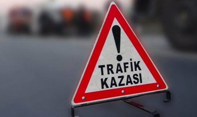 Yaşam mücadelesini kaybetti