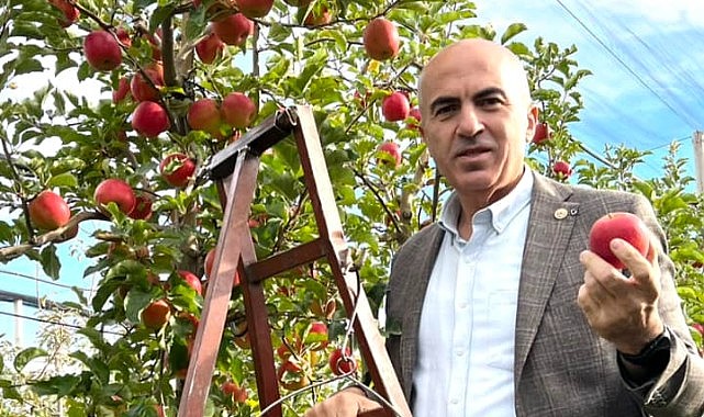 &quot;Binlerce zincir market pazara hakim oluyor&quot;