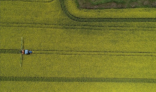 Dünyada ilk 4'teyiz