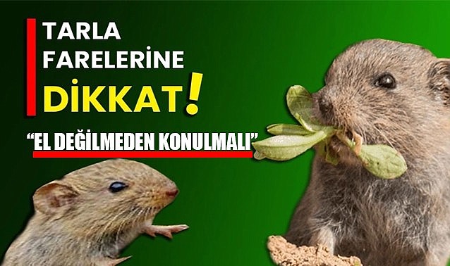 &quot;El değilmeden konulmalıdır&quot;