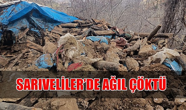 Civler köyünde ağıl çöktü!
