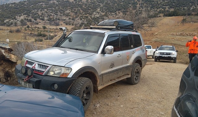 Domuzlar itlaf ediliyor