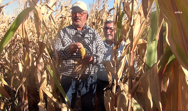 Üretici panik içinde!
