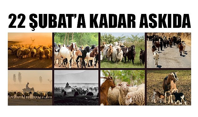 22 Şubat&#039;a kadar askıda…
